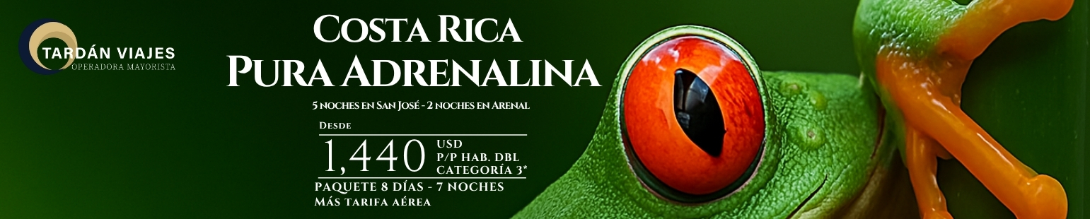 13 PURA ADRENALINA